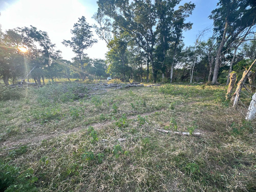 Terreno Con 369.33 Metros Cuadrados