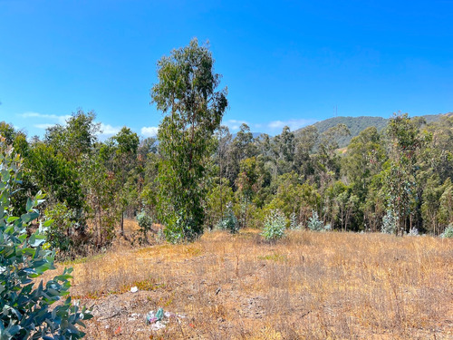 Cuatro Exquisitos Terrenos En Condominio En Cachagua