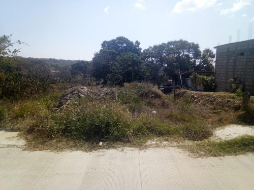 Imagen 6 de 6 de Terreno En Venta El Jobo