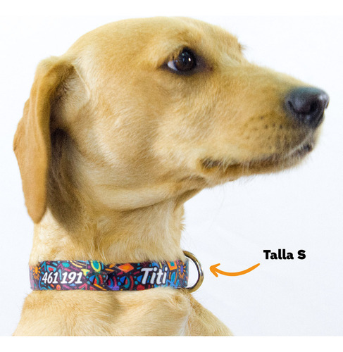 Collar Ajustable Mascotags Para Perro Personalizado