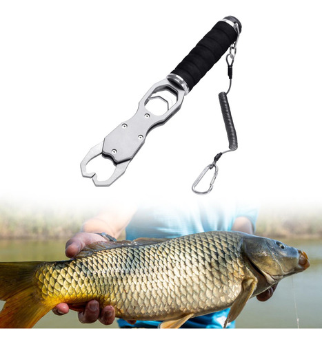 Pescado Con Accesorios De Pesca A Escala Accesorios Argén