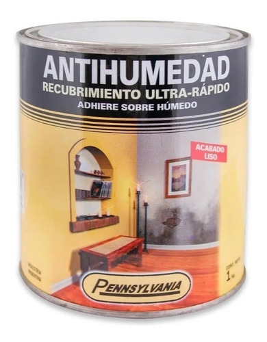 Pintura Antihumedad Pennsylvania 1 Litro 