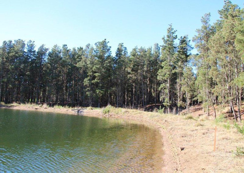 Imagen 13 de 15 de Venta - Lote Con Vista A Laguna En Villa Robles - Barrio Cerrado