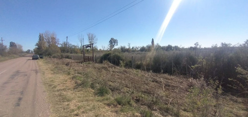 Imagen 22 de 24 de Predio Urbano/rural S. Rafael Las Malvinas Mendoza