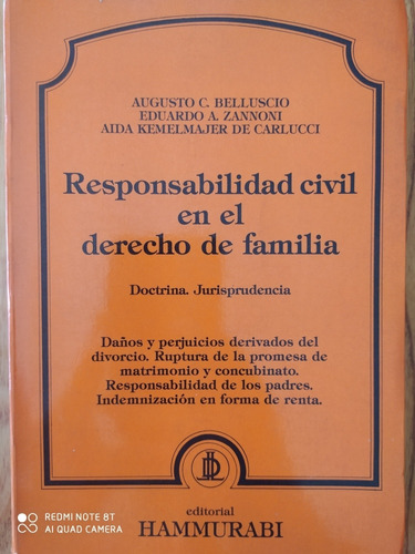 Responsabilidad Civil En El Derecho De Familia - Belluscio