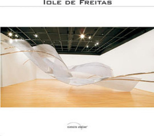 Iole De Freitas - Vol. 30: Depoimento, De Freitas, Iole De. Editora C/ Arte - Bh, Capa Mole Em Português