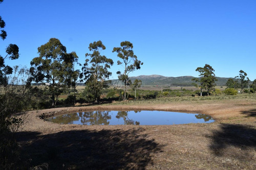 Venta Chacra Ruta 60 Maldonado Pan De Azucar Cerro Betete
