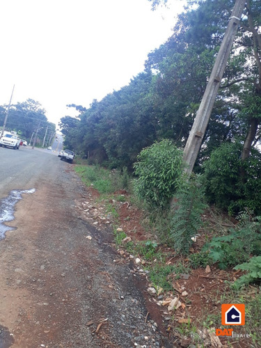 Imagem 3 de 7 de Terreno À Venda Em Uvaranas - 1510