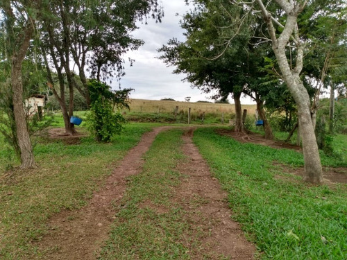 Chácara 20.000 M² - Passo Dos Pachecos - Glorinha - Rs - 2134 - 33951871