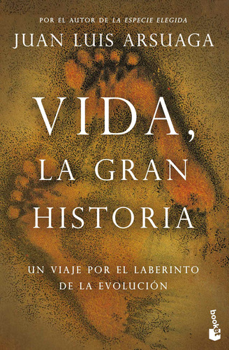 Vida, la gran historia: Un viaje por el laberinto de la evolución, de Arsuaga, Juan Luis. Serie Booket Editorial Booket Paidós México, tapa blanda en español, 2022