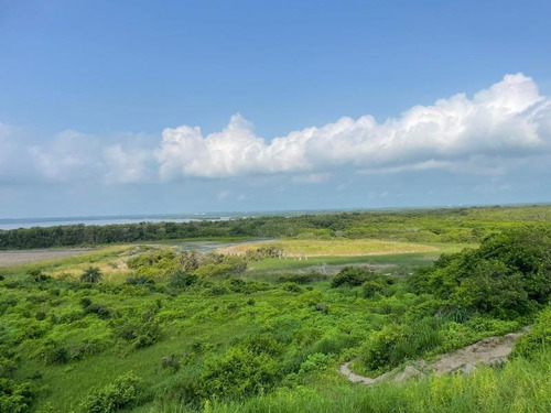 Imagen 3 de 7 de Terreno En Venta Lomas De La Rioja