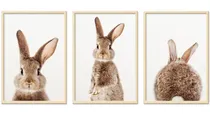 Comprar 3 Cuadros Conejos, Decoración Cuarto Niña Niño Bebe