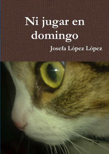 Libro: Ni Jugar En Domingo (spanish Edition)