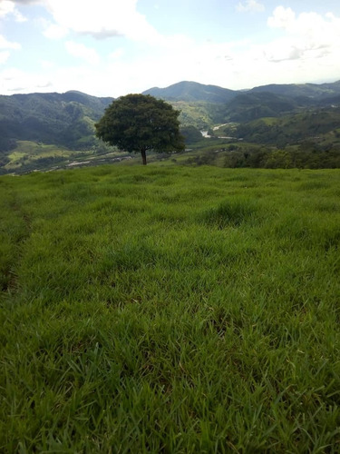 Imagen 3 de 7 de Finca De 35 Hectáreas En Poligono