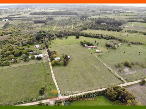 Venta De Chacra 1.8 Has En El Colorado, Canelones