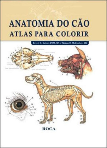 Anatomia Do Cão - Atlas Para Colorir