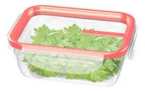 Comprar Pote Hermético Con Trabas Plástico Sanremo 330ml