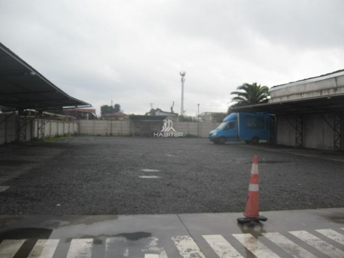 Sitio En Venta En Curicó
