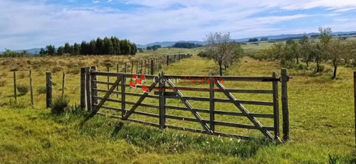 Venta - Chacra En Zona De Bodegas Garzón
