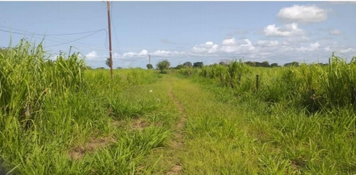 Imagen 19 de 30 de Finca Y Centro Turístico Linda Barinas En Venta