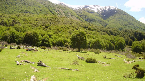 Sitio En Venta En Futalefu