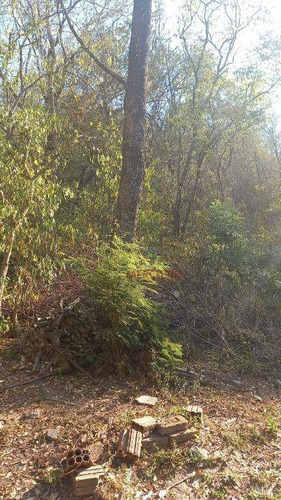 Imagem 6 de 12 de Chácara Com 2 Dormitórios À Venda, 28000 M² Por R$ 360.000,00 - Zona Rural - Agudos/sp - Ch0155