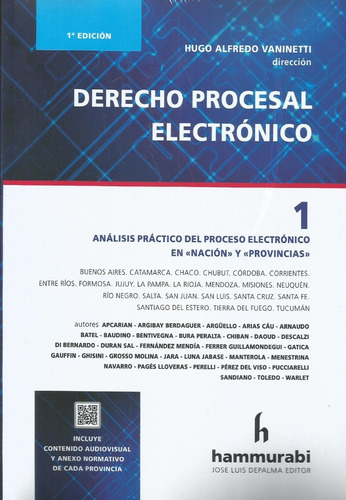 Derecho Procesal Electrónico T. 1 Vaninetti 