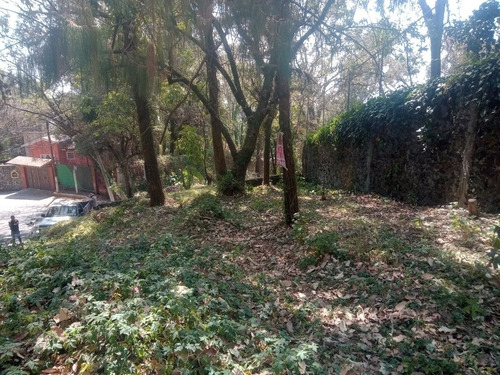Terreno Real Monte Casino