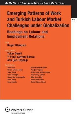 Libro Emerging Patterns Of Work And Turkish Labour Market...