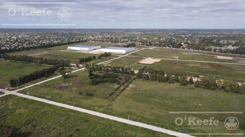 Lote De 5.344 M2 Parque Industrial Pitec 2 - Zona Sur
