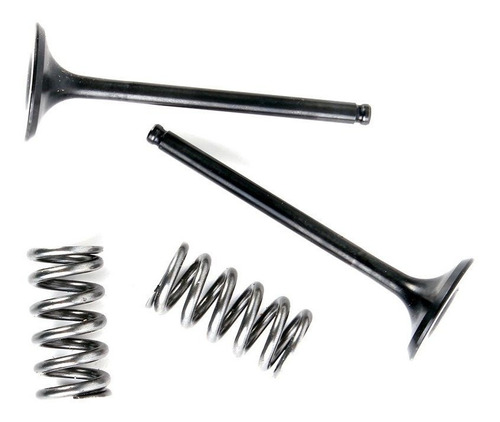 Válvula De Escape E Molas Prox Yzf 250 01/13 (kit 2 Pcs)