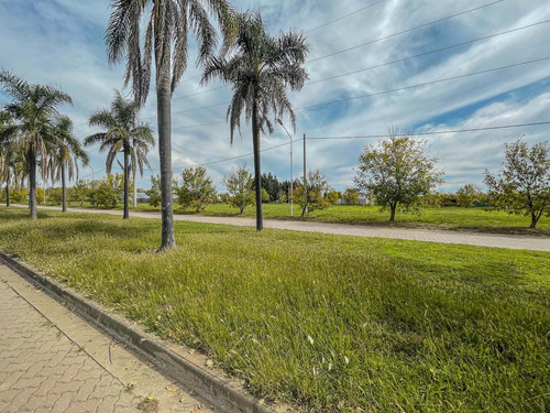Imagen 12 de 12 de Lote Sobre Boulevard Principal Apto Comercial