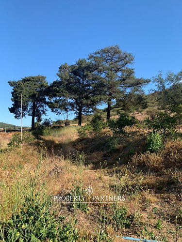 Algarrobo, Las Dichas. Preciosa Parcela De 2,1 Ha ...