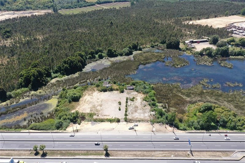 Imagen 4 de 22 de Sitio En Venta En Concepción