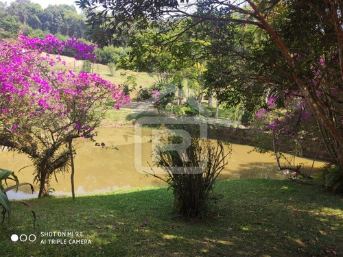 Imagem 14 de 30 de Lindo Sitio Alto Padrão Com Piscina E Lagos - 39 - 68517911