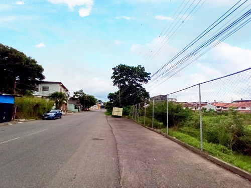 Imagen 5 de 5 de Terreno En Santa Teresa