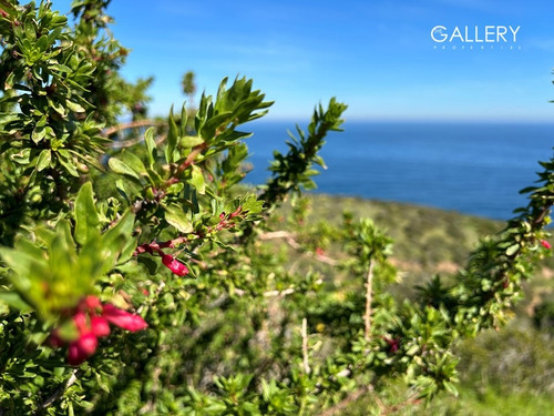 Vista Panorámica Al Mar, Zapallar Norte