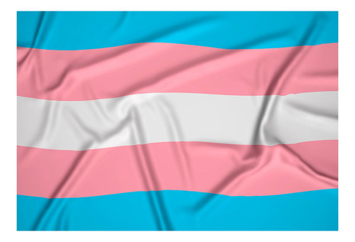 Bandera Transgenero 1mtr X1.5mt Orgullo Transgenero Exterior