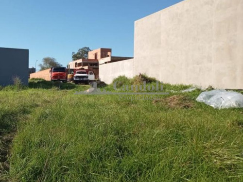Lote En Venta Barrio San Carlos