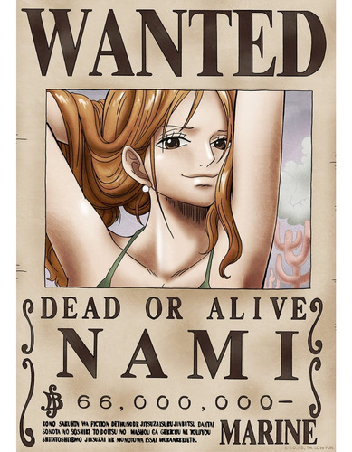 Anime Wanted Cuadro 29x19 Mdf One Piece Nami 66.000.000