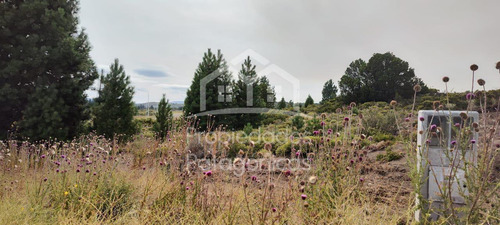 Terreno Lote En Venta En Bariloche Listo Para Escriturar