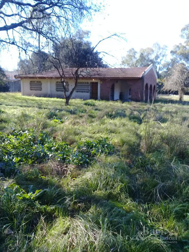 Chacra - Canning (ezeiza)