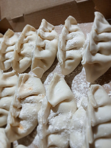 Empanadas Frizadas