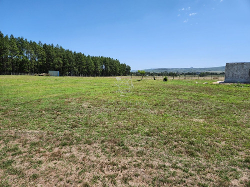 Imagen 7 de 30 de Chacra 5 Hs Con 2 Casas - Consulte !!! - Zona Rural Zona Rural