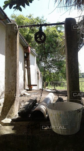 Imagen 8 de 15 de Excelente Chacra En Venta Para Reciclar A Dos Km De Puedo Eden Maldonado - Maldonado Ruta 9