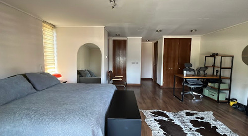 Excelente Depto Duplex 1dorm 3baños, Providencia