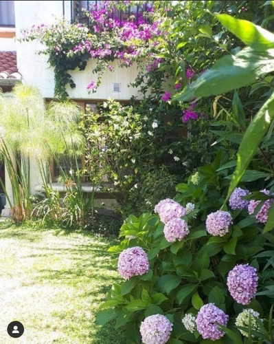 Imagen 10 de 10 de Servicio De Jardinería A Domicilio, Diseño Y Mantenimiento.
