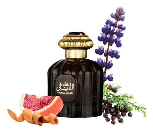 Al Wataniah Sultan Al Lail Edp Perfume Masculino 100ml 100ml