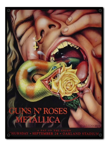 #1243 - Cuadro Decorativo Vintage - Metallica Guns N' Roses