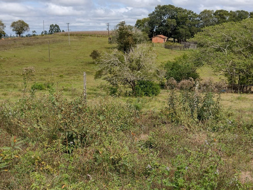 Imagem 6 de 13 de Chácara 1,5 Alqueires Não Tem Casa Só Terra,400mts Do Asfalto,localização Nobre,agua Cristalina Nascente,27 Kms Do Centro De Itapetininga - Ch00082 - 69505785